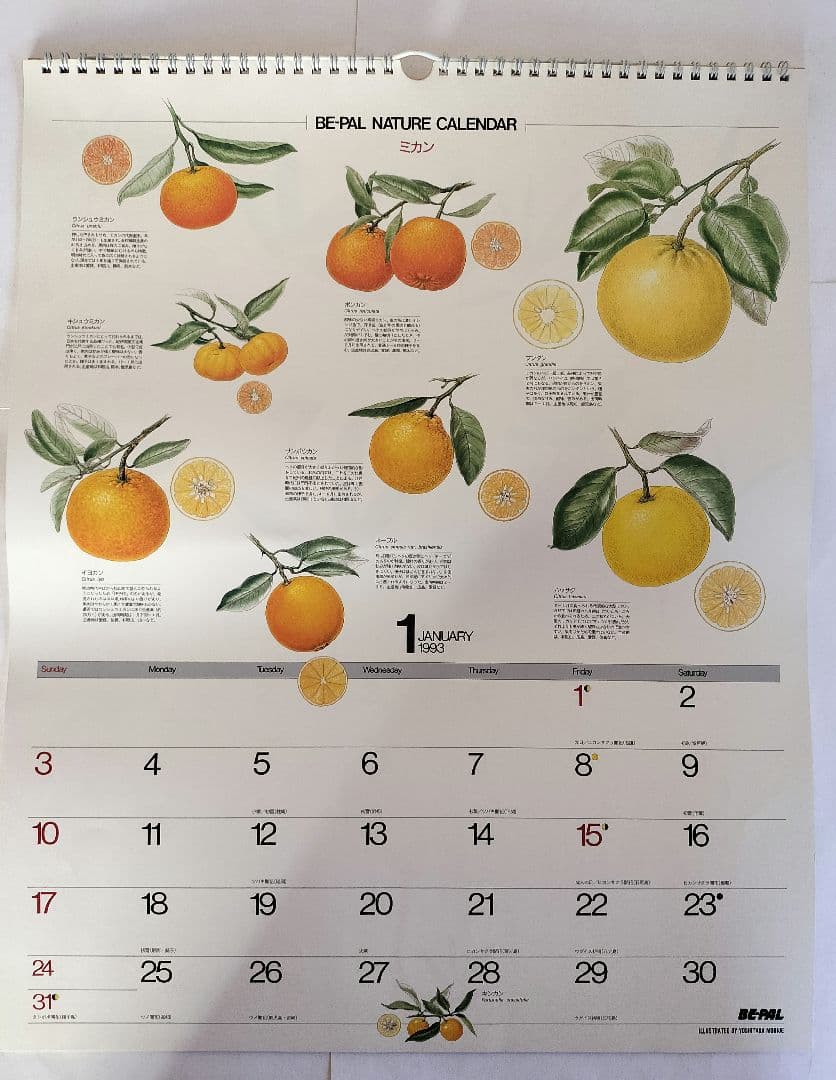 BE-PAL ビーパル カレンダー 新品未使用 1993年 ヴィンテージ