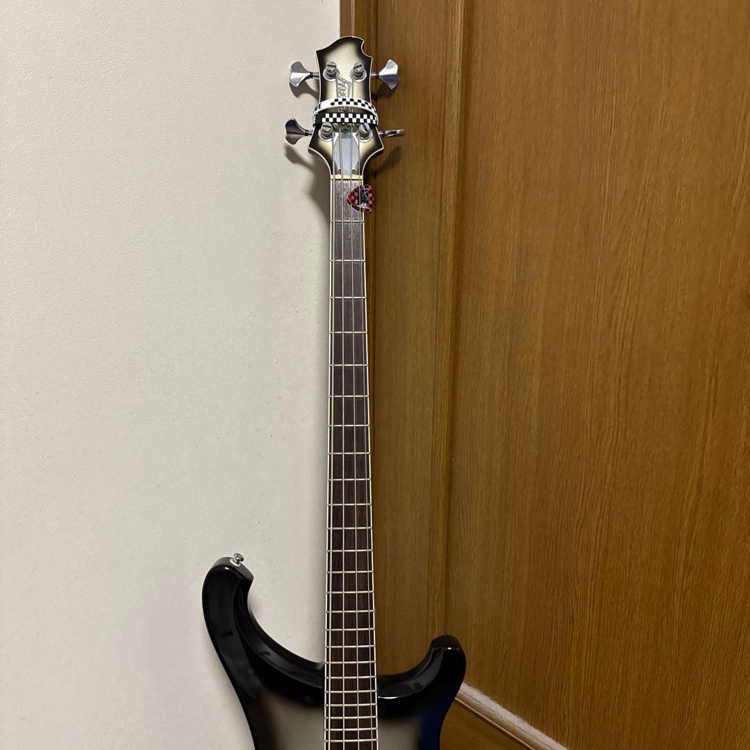 Burny ka-yuモデル　シルバーサンバースト