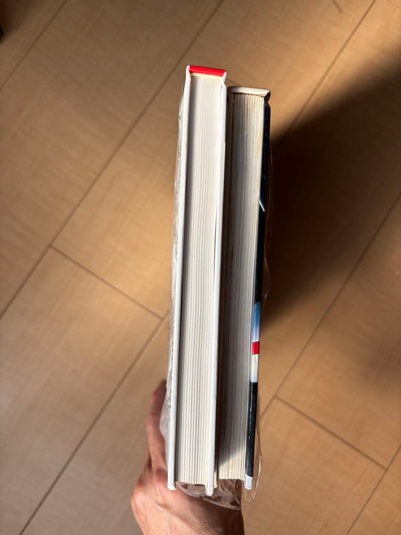 アイルトン・セナのレーシングドライビング