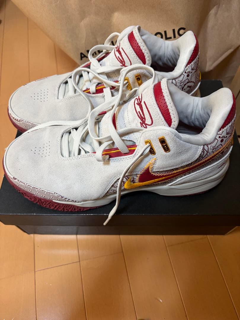 NIKEバスケットシューズ ズーム レブロン