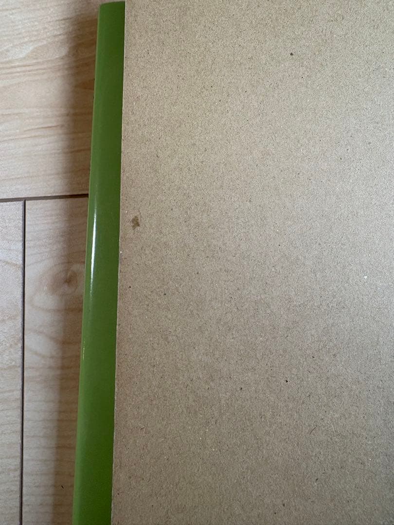 【非売品】王鐸　図録