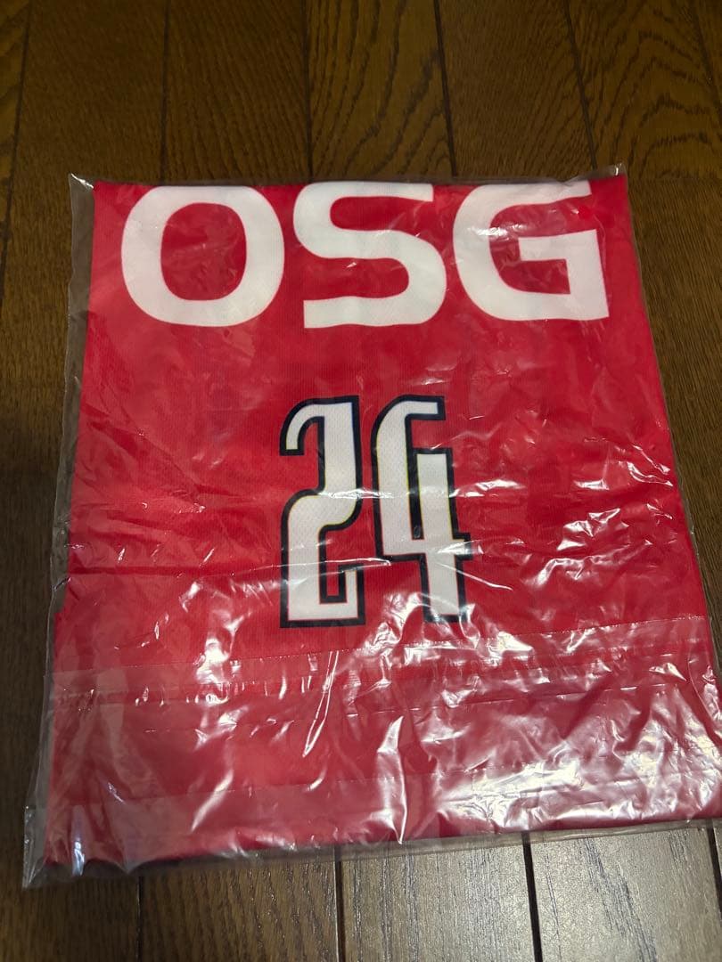 ⭐︎ペネロペ⭐︎ 三遠ネオフェニックス　グッズ