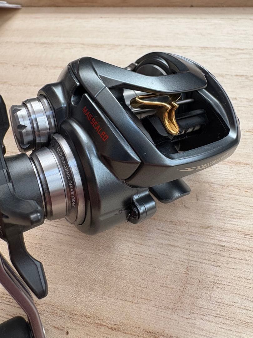 ダイワ　スティーズA TW 1016XH