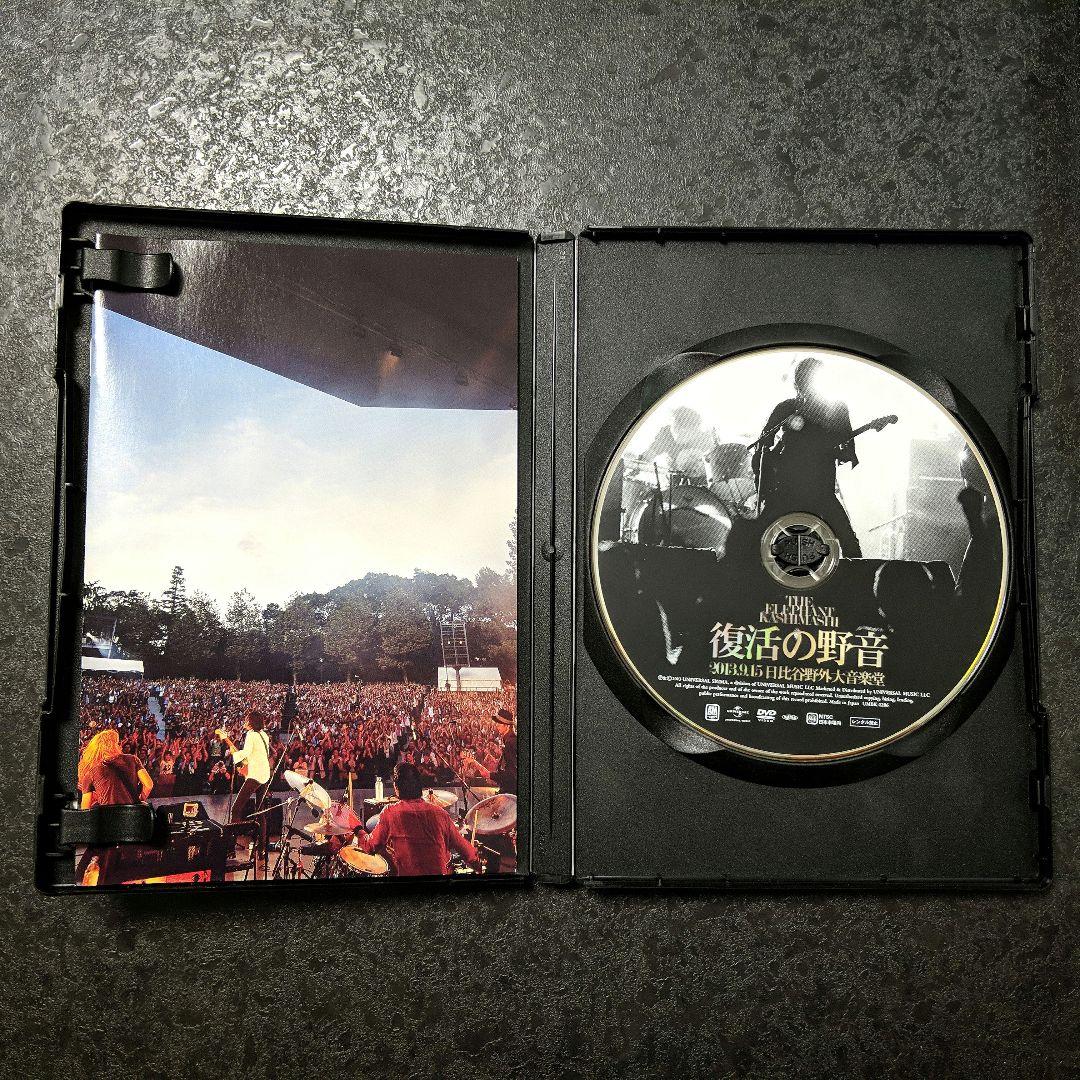 エレファントカシマシ　LIVE DVD セット売り