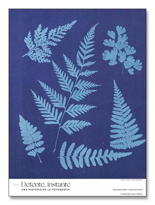 額装済/Sin titulo 1855/アーティスト不明/アートポスター