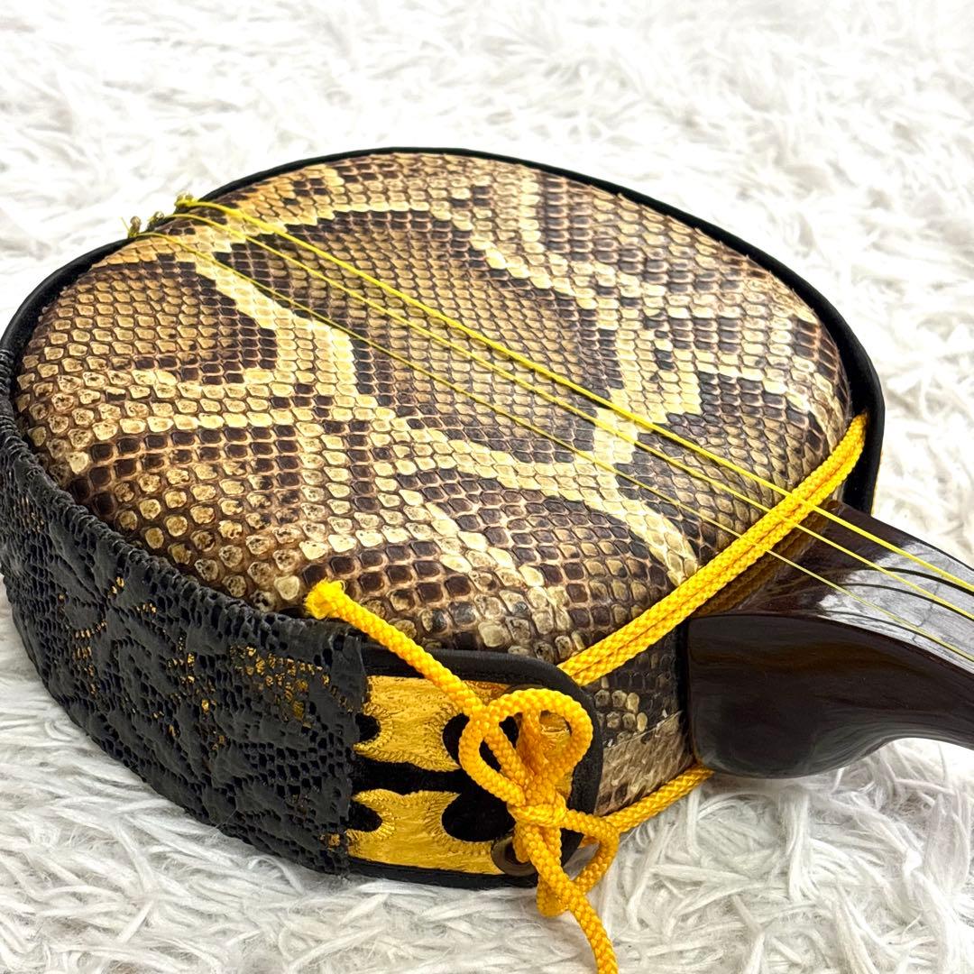 ✨極美品✨沖縄 三線 本蛇革 強化張り 黒塗り棹 ハードケース 爪 本蛇皮