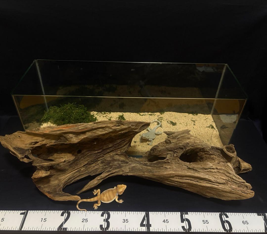 Ｇ88 爬虫類、両生類、シェルター、アクアテラリウム、インテリア、DIY