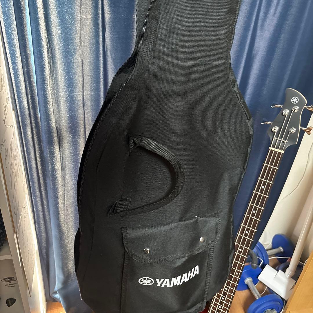 杉*平様 （ソフトケース、スタンド付き）YAMAHA TRBX174 OVSエレ