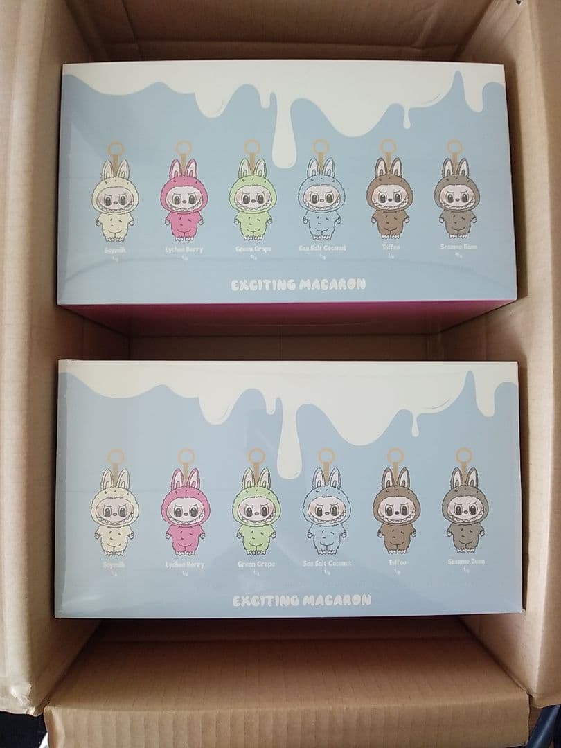 2箱セットPOPMART LABUBU Exciting Macaronアソート