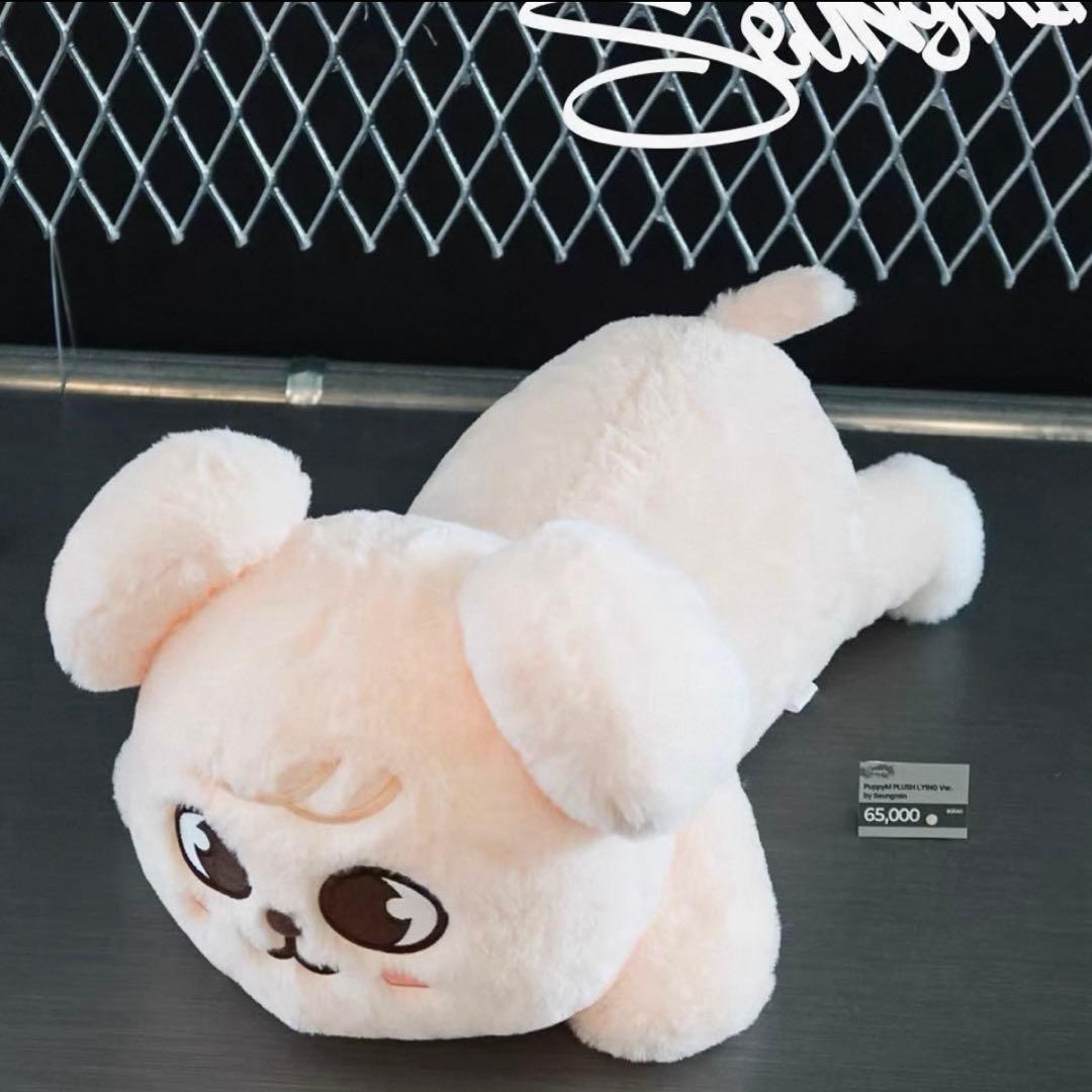 StrayKids celebrATE POPUP スンミン メンプロ パピーム