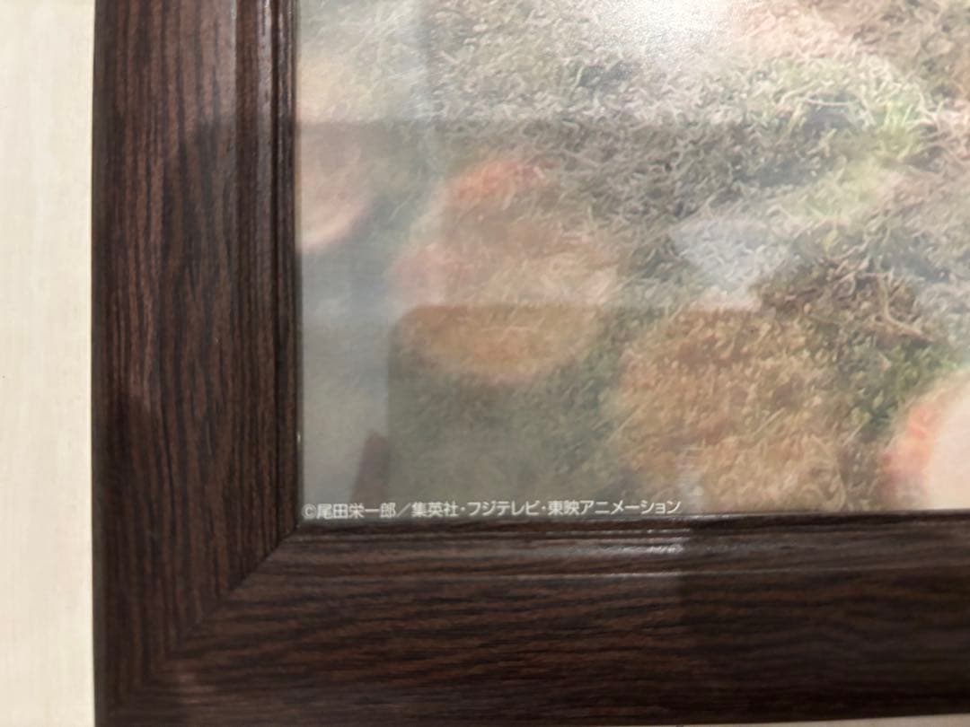 ONE PIECE ROMANCE DAWN ポスター　額縁付き