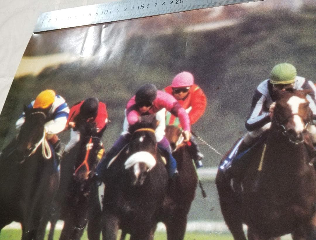 ◆ ナリタブライアン　武豊　JAPAN CUP　非売品　KEIBA　競馬ポスター