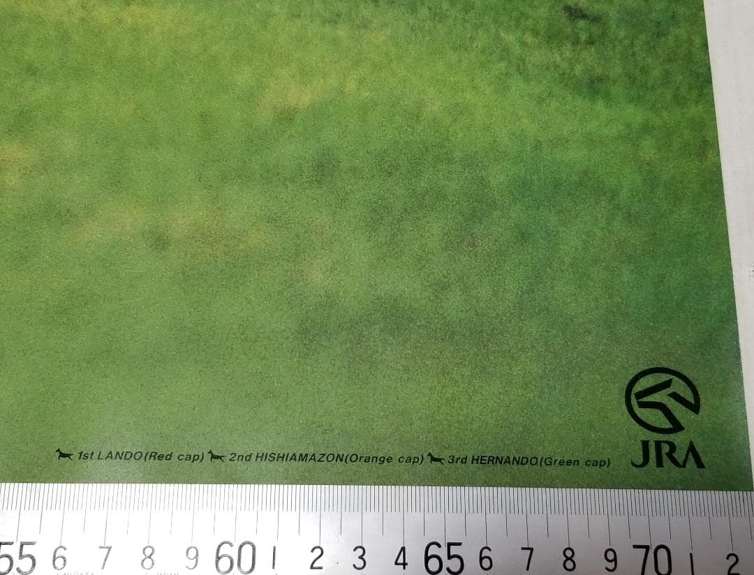 ◆ ナリタブライアン　武豊　JAPAN CUP　非売品　KEIBA　競馬ポスター