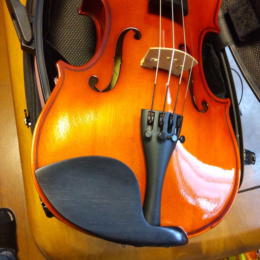 はなさん専用！バイオリン本体C.Giordanoカルロジョルダーノ木製手工芸品