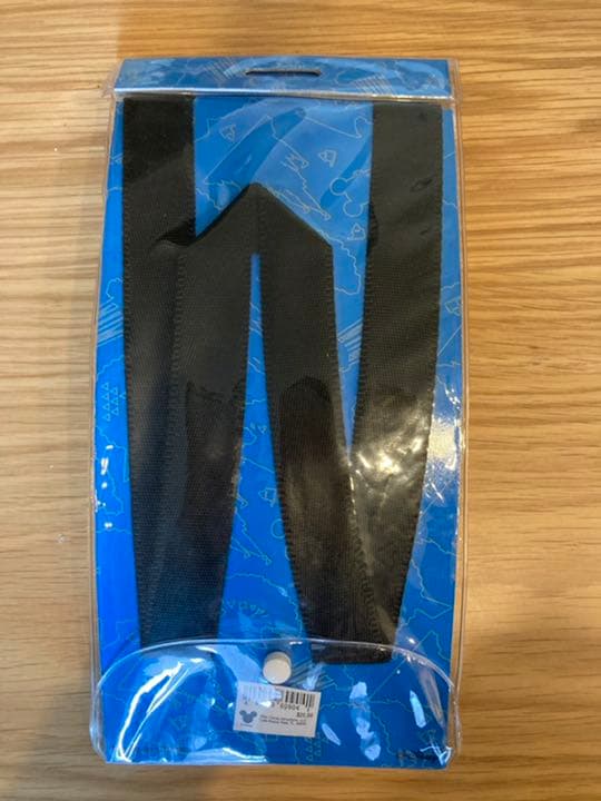 ディズニーワールドピンバッジネックストラップ＆光るピンバッジ