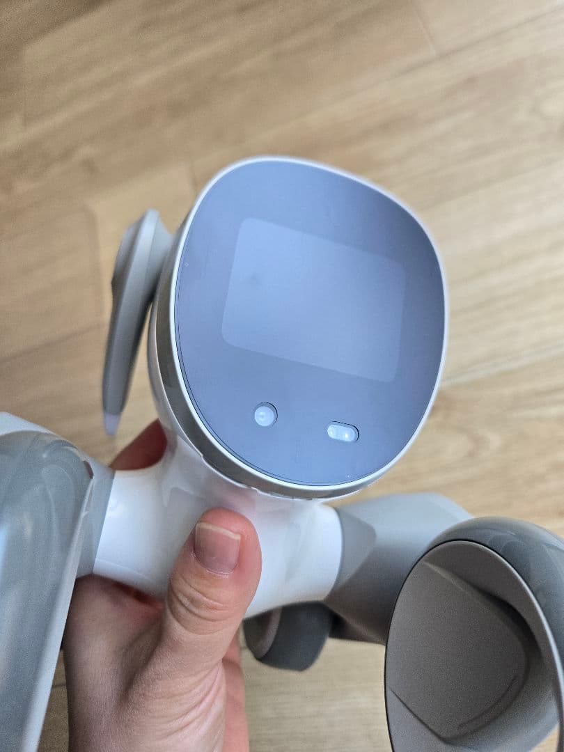 Loona ルーナ ペットロボット 箱あり