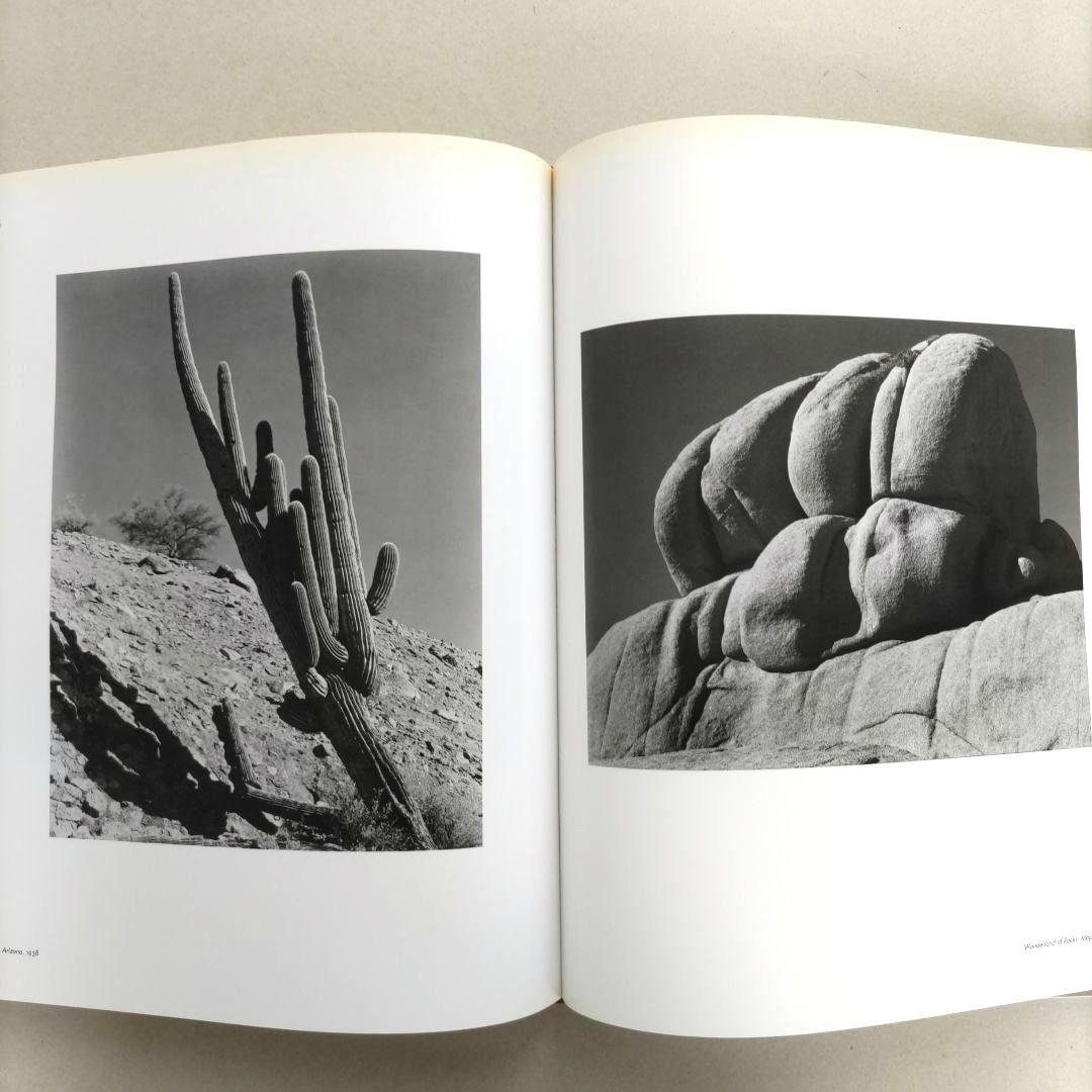 Edward Weston:Forms of Passion/写真集 洋書