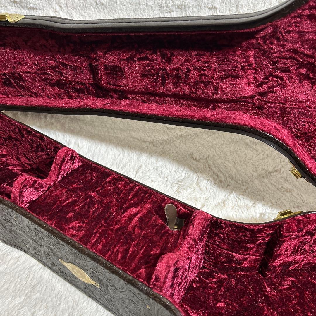 Taylor 317e V-class アコースティックギター ハードケース