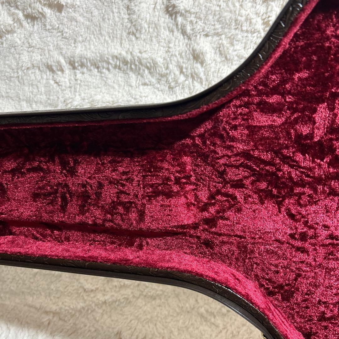 Taylor 317e V-class アコースティックギター ハードケース