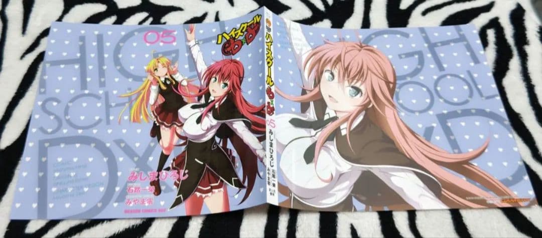 ハイスクールD×D ⑤ ゲーマーズ 特典 ブックカバー NOT FOR SALE