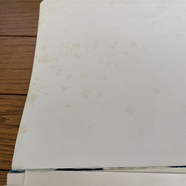 しちだ式七田式　しちだ　小学生プリント　国語　算数　社会　理科　右脳　計算　匿名