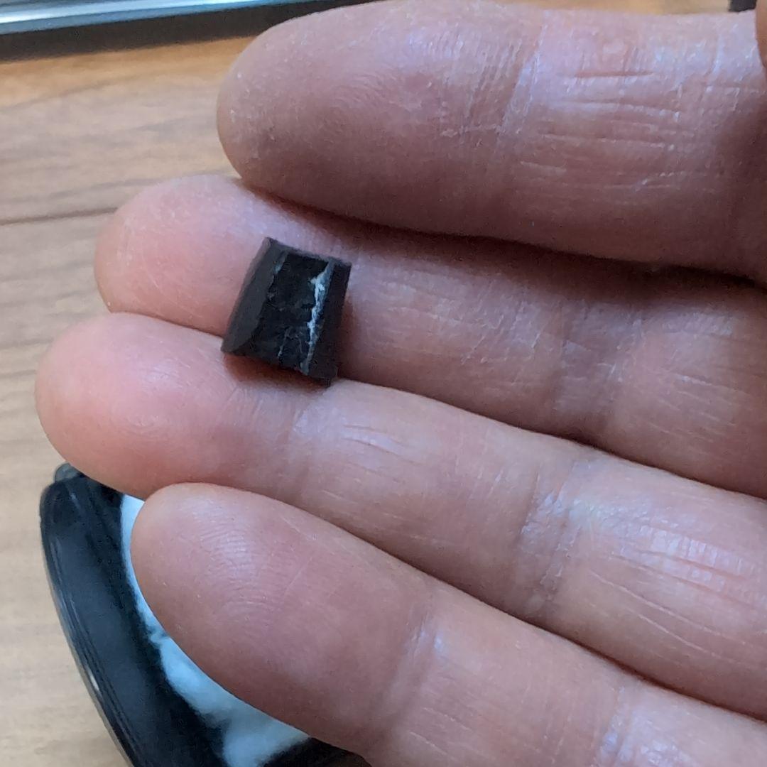 本物　ディノサウルス(ダスプレトサウルス)　歯化石　4個