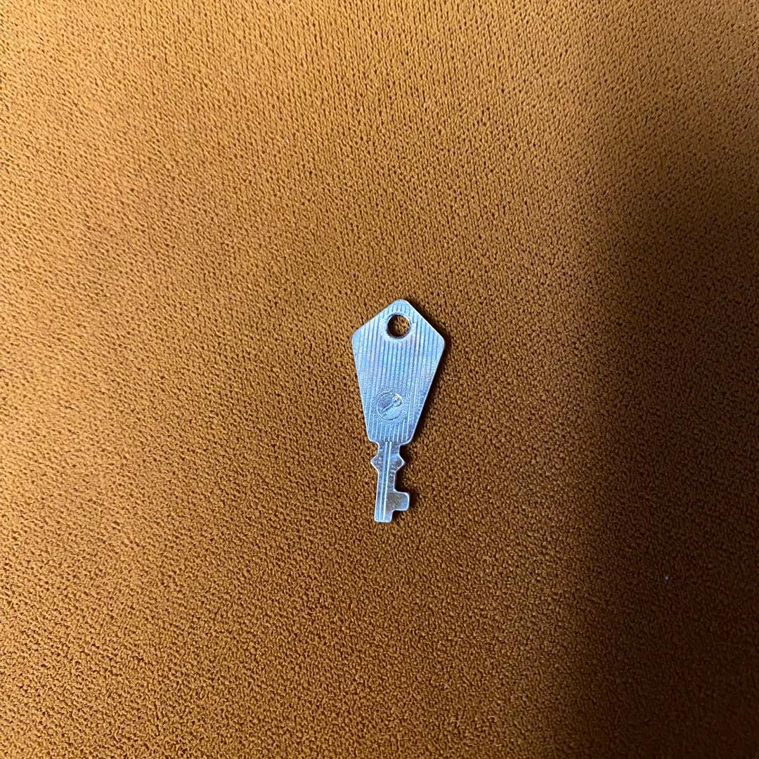 新品未使用 GEWA バイオリンケース