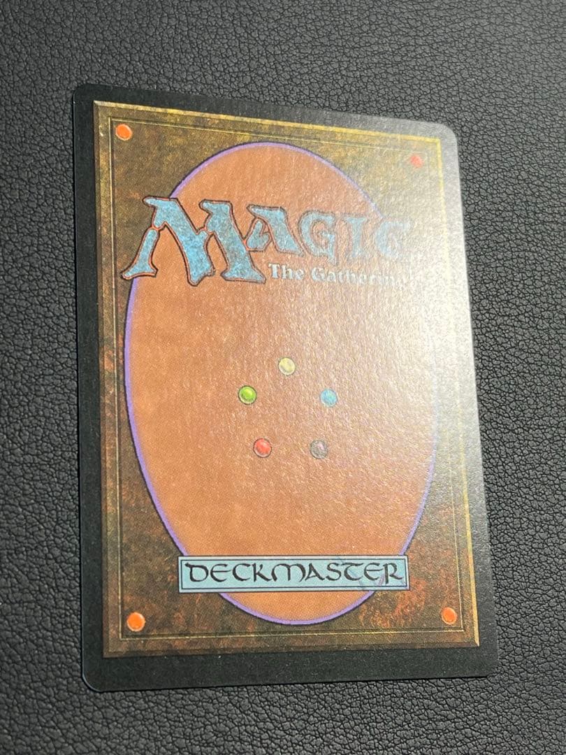 MTG 大地の知識　日本語　テンペスト