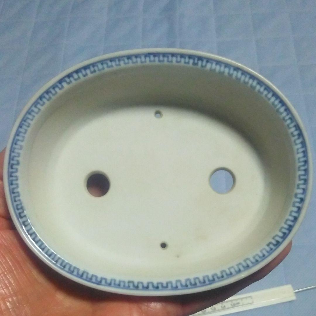 九谷焼、ミニ鉢、盆栽鉢、盆栽小鉢、鉢、植木鉢、山野草鉢、盆栽