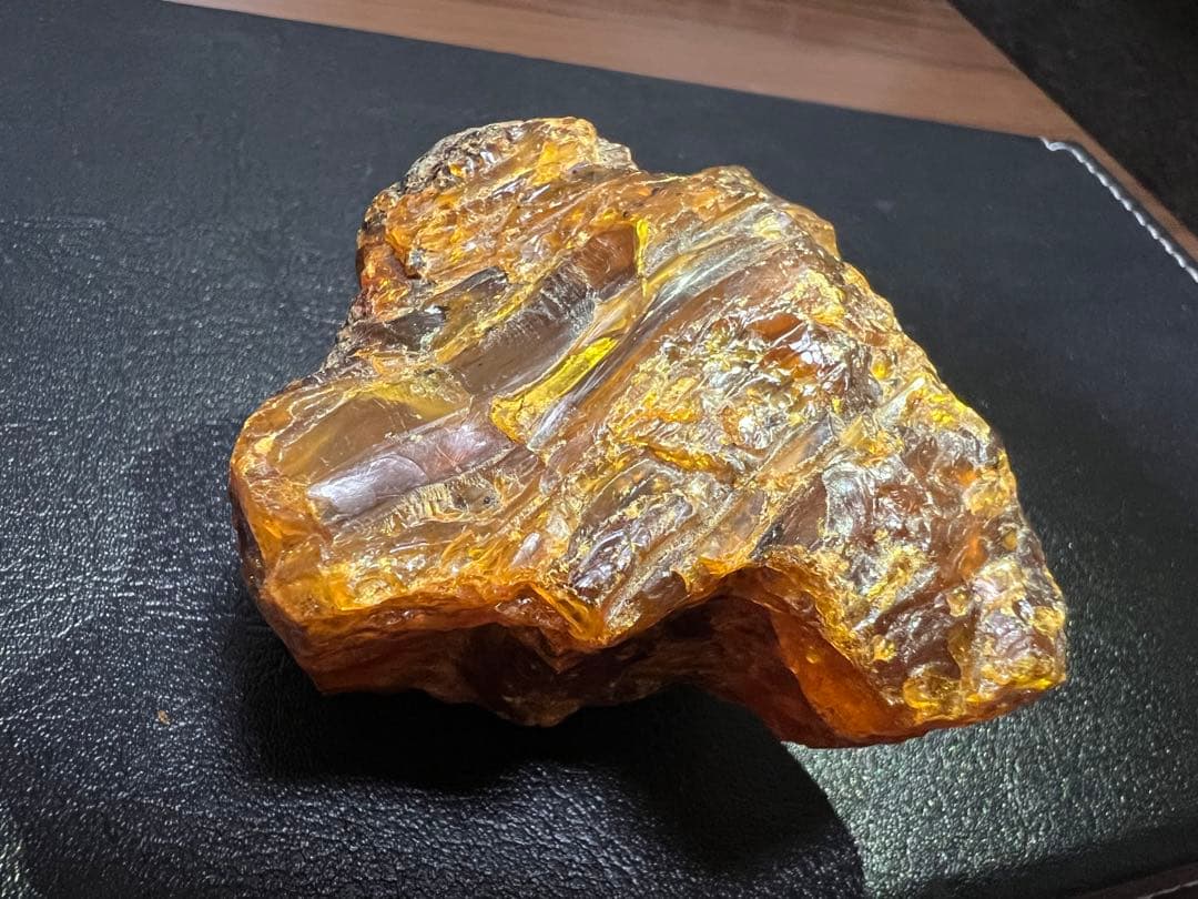 樹脂の化石【超激レア】