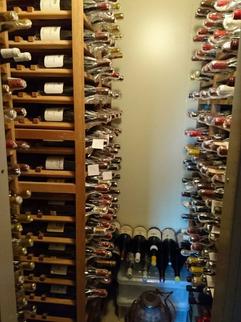 2024 オン・ザ・ストリート 赤 /アズッカ エ アズッコ