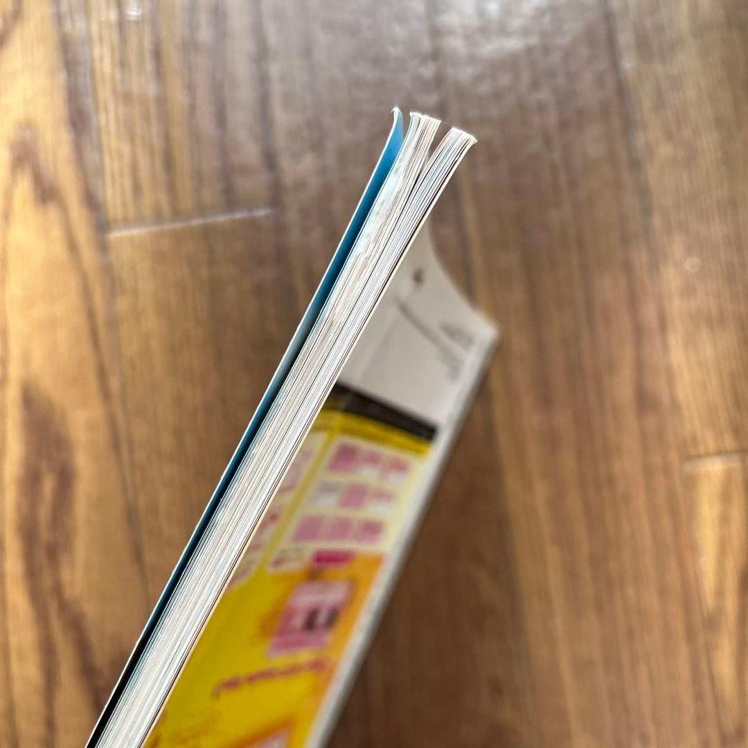 レア　平成レトロ　サンリオ　サンリオピューロランドガイドブック