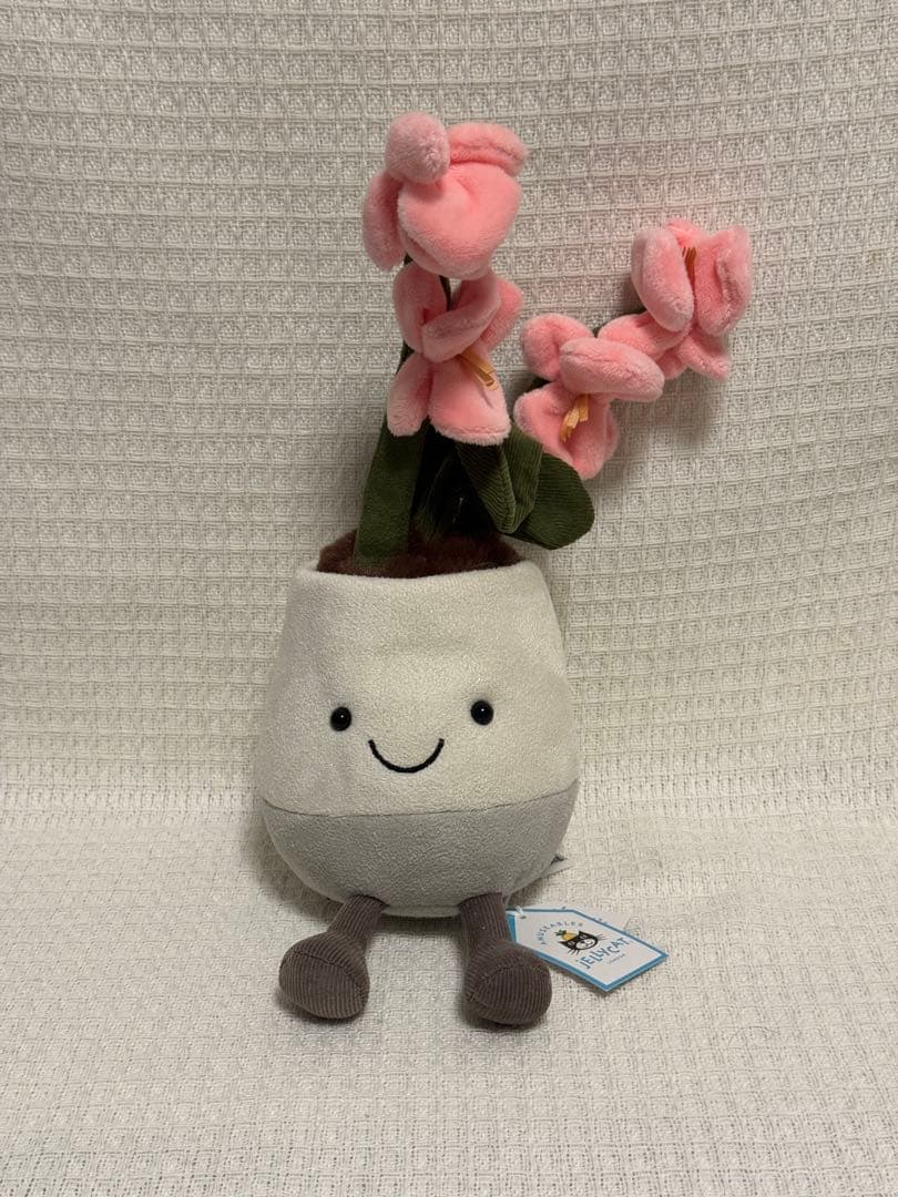  ジェリーキャット　花　蘭　胡蝶蘭　ラン　観葉植物　ぬいぐるみ