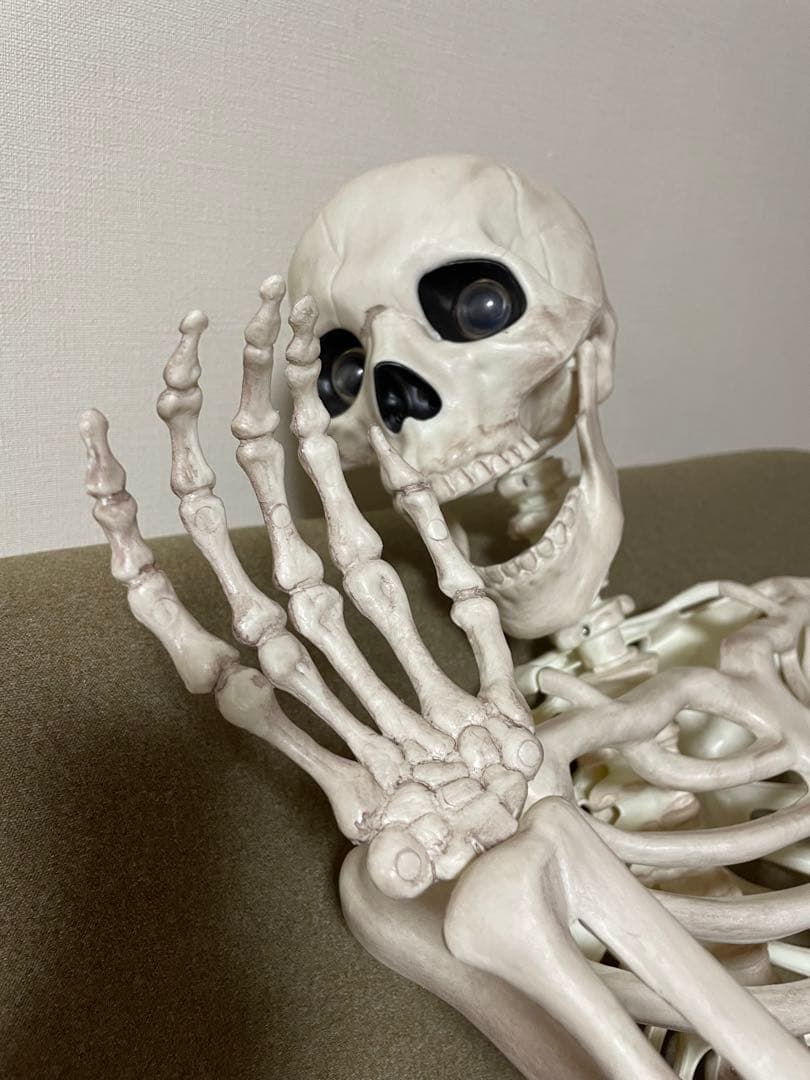 【デカすぎ！】ガイコツ　ハロウィン　人体模型　骨　ハロウィン　150cm