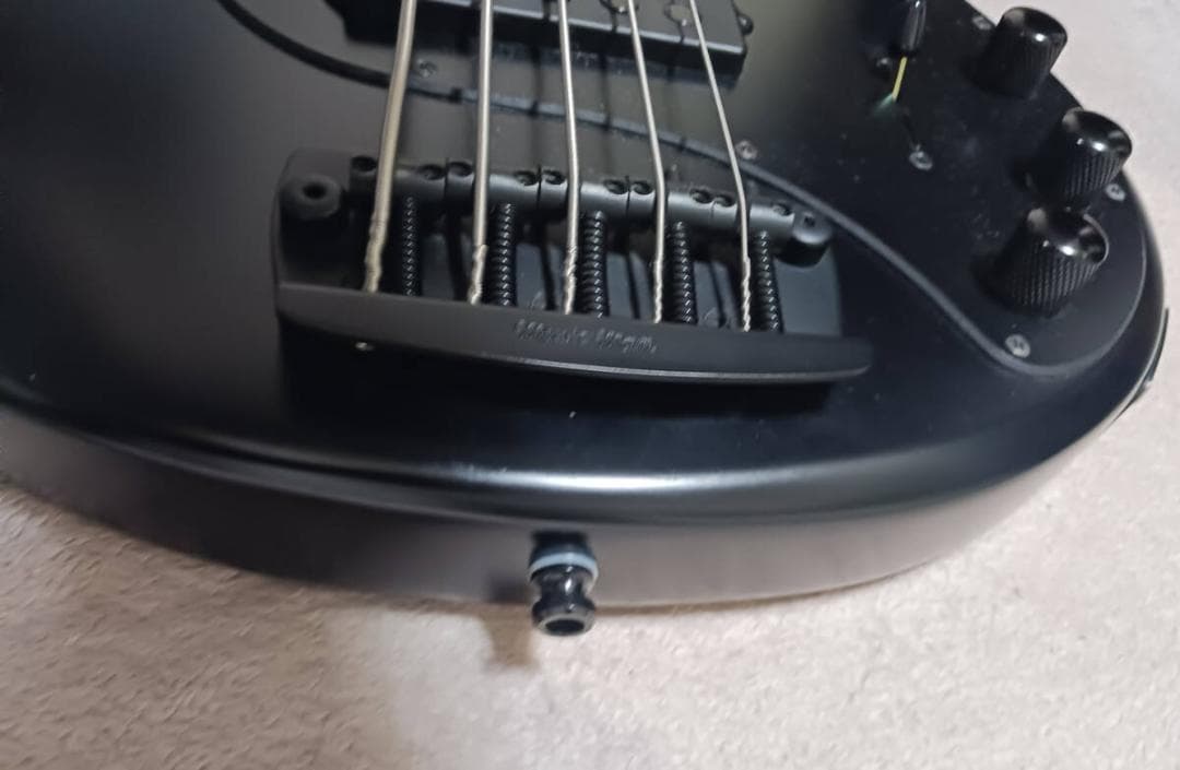 Ernieball MUSICMAN Stingray 5H ミュージックマン