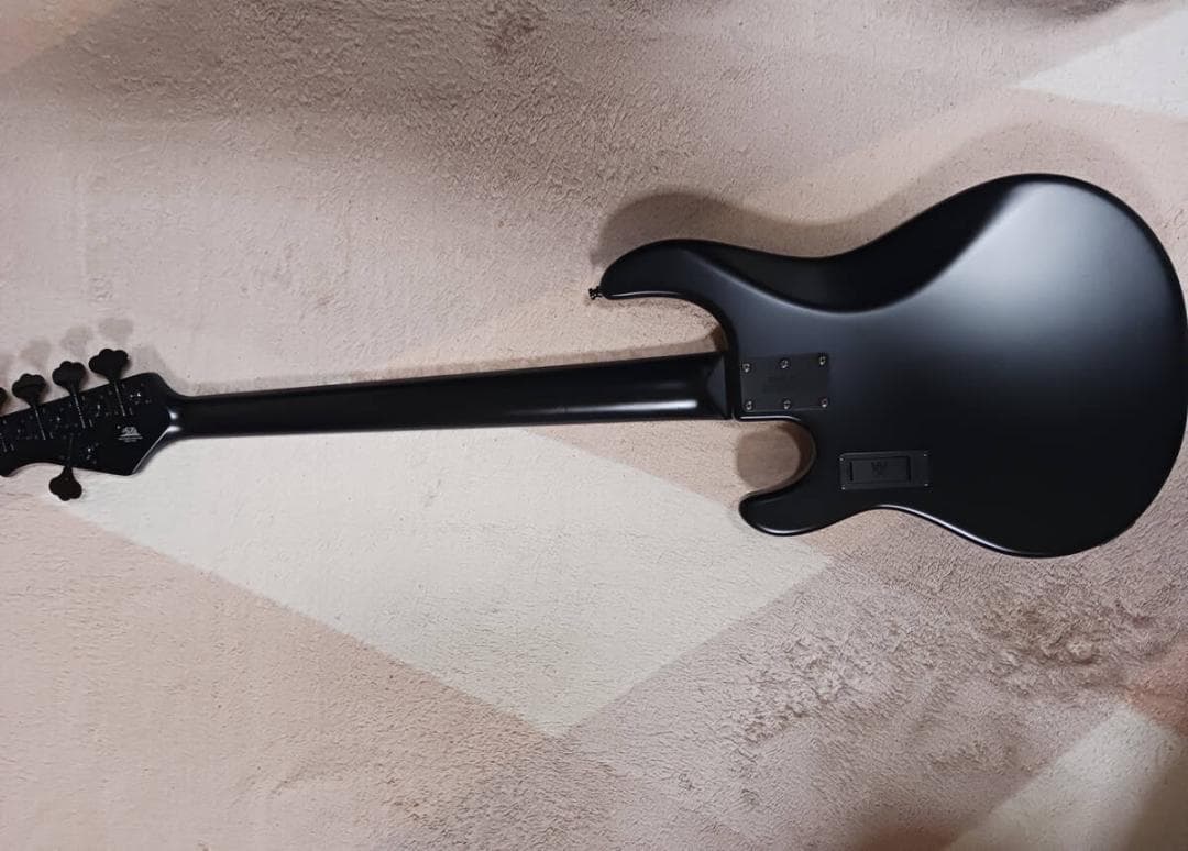 Ernieball MUSICMAN Stingray 5H ミュージックマン