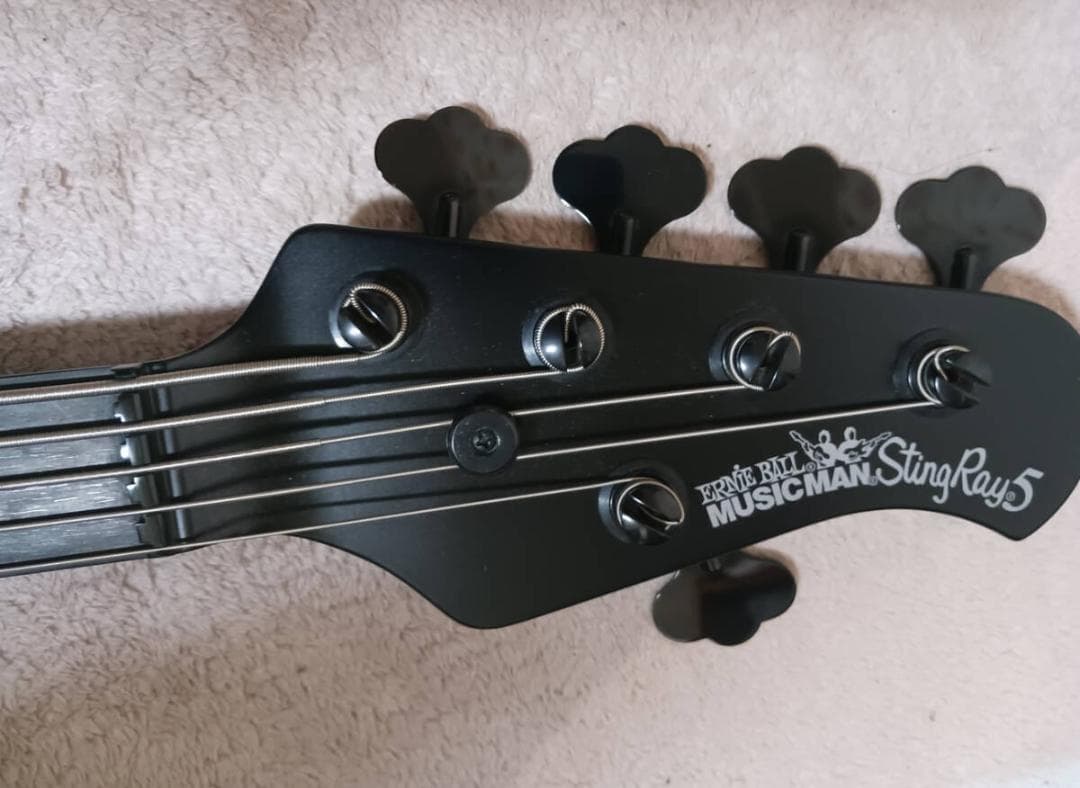Ernieball MUSICMAN Stingray 5H ミュージックマン