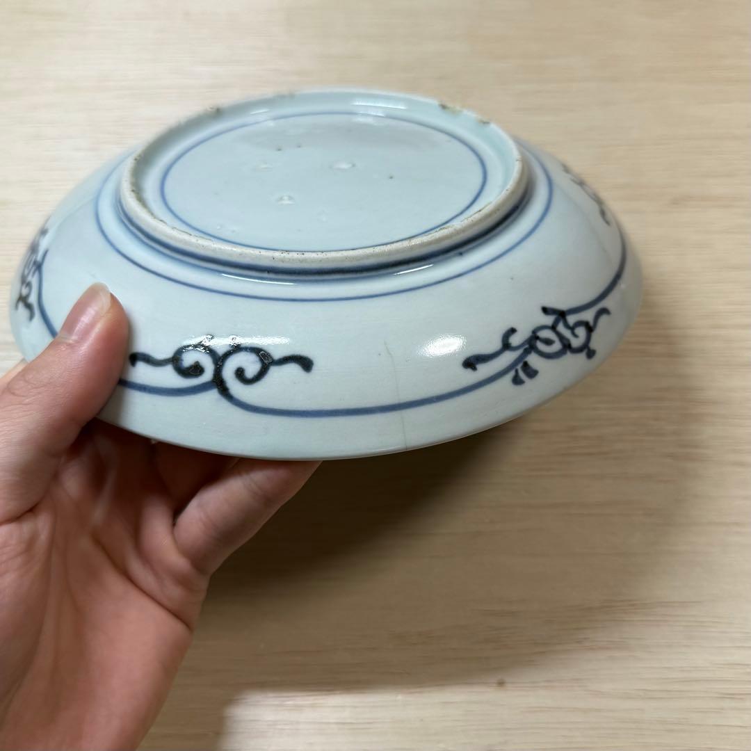 古伊万里 染付 こんにゃく印判 六寸皿 中皿 江戸時代 蒟蒻印判 古美術 骨董