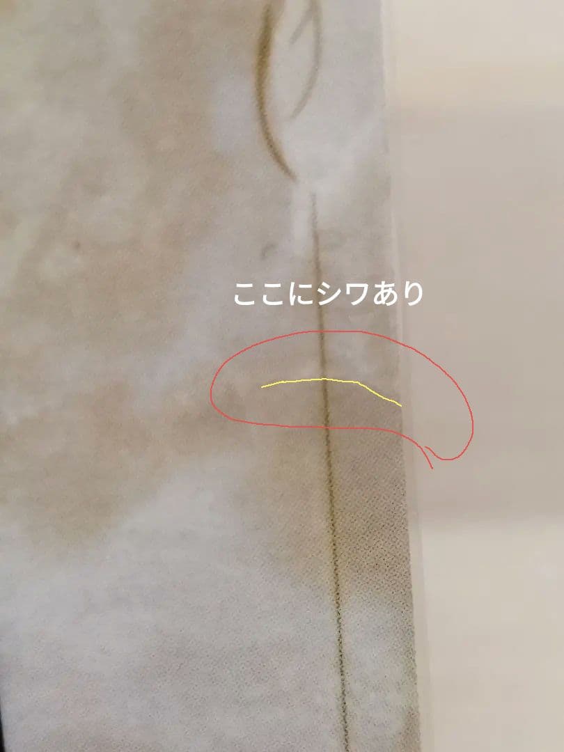 ポケモンスタンプ スタジアム ポケモンだいすきクラブ トレーナーズカード　非売品