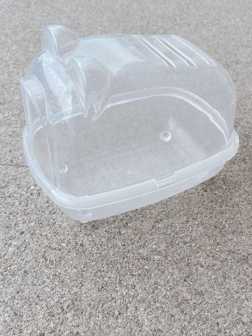 ハムスター　買い始めセット(埼玉県、直接渡しのみ)