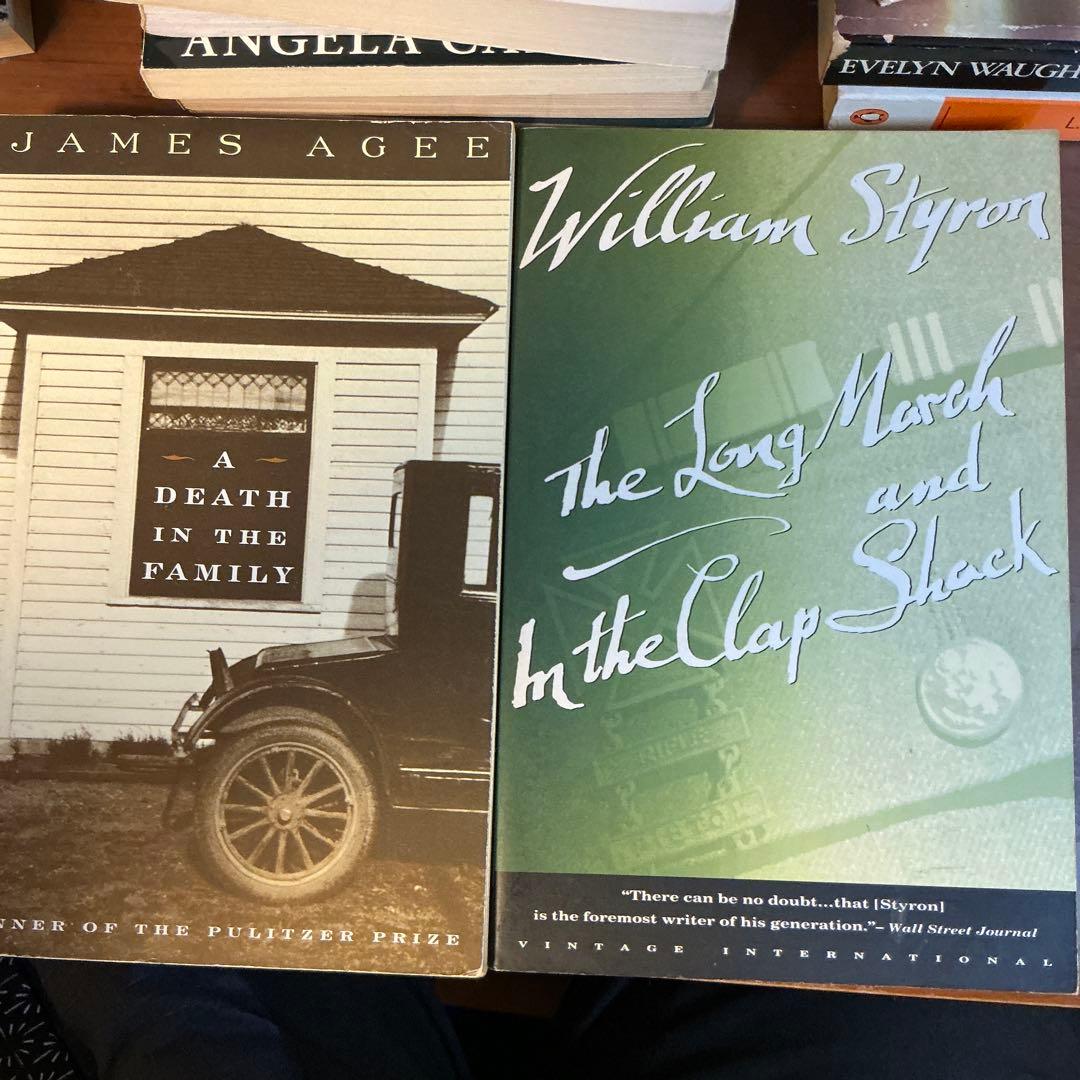 洋書コレクション 24冊セット Great Author Collection