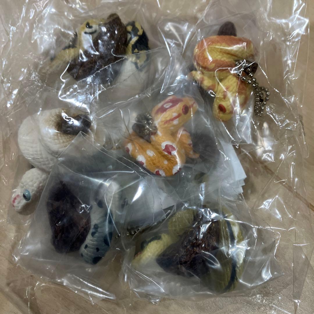 マスコットボールチェーン 爬虫類 両生類 ガチャガチャ カプセルトイ