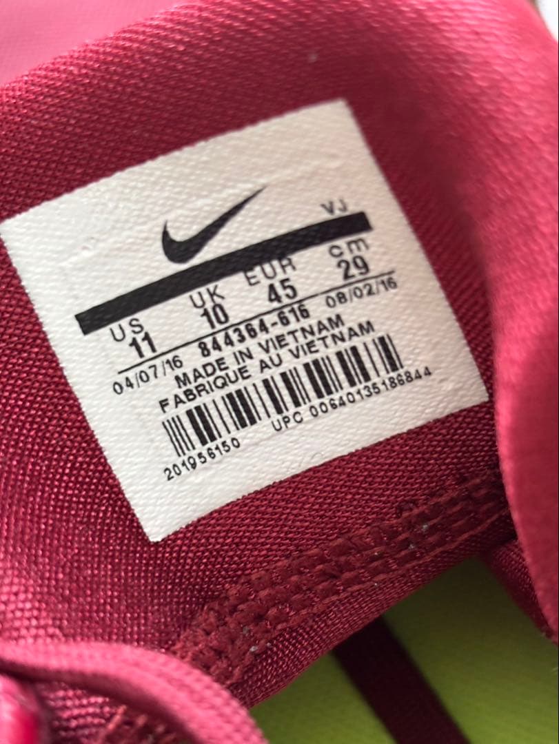 NIKE ハイパーダンク2016 ローカットタイプ