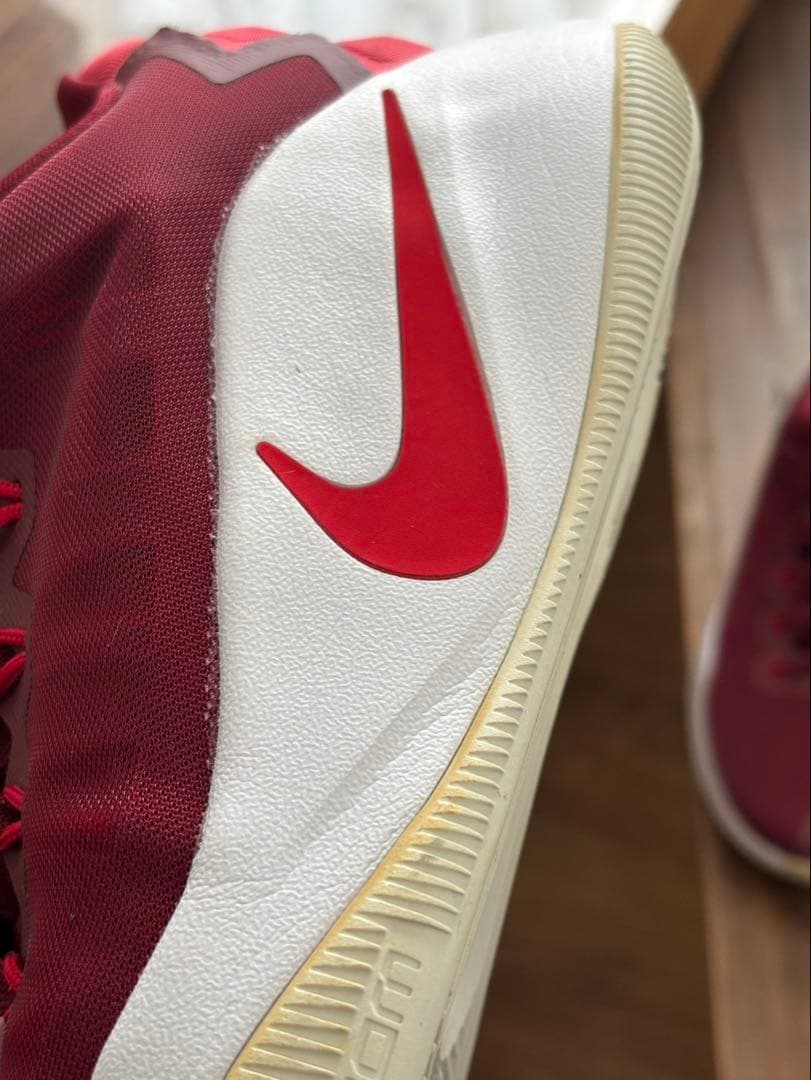 NIKE ハイパーダンク2016 ローカットタイプ