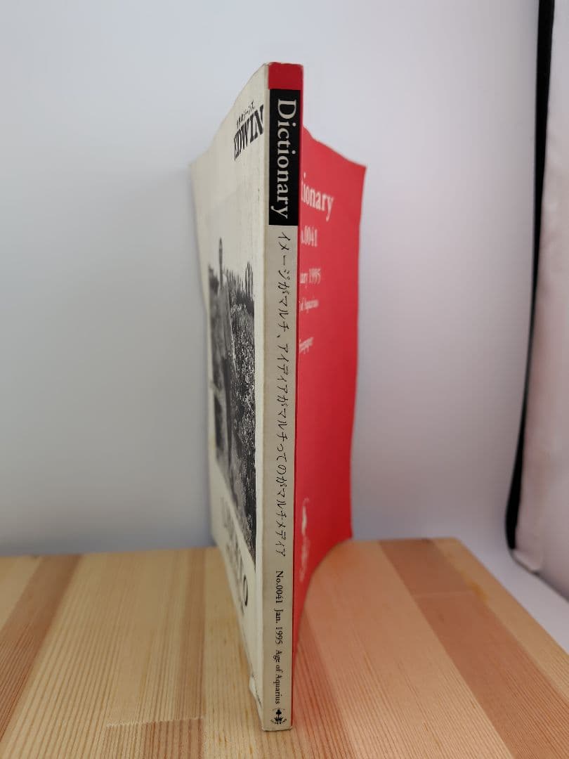 希少 1995年 DICTIONARY JONIO 村上隆 藤原ヒロシ