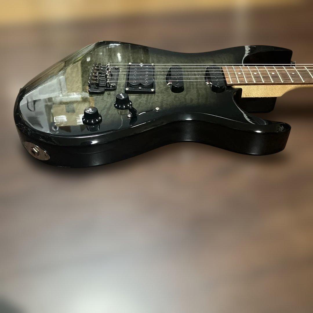 フェルナンデス FGZ SSH ディンキー