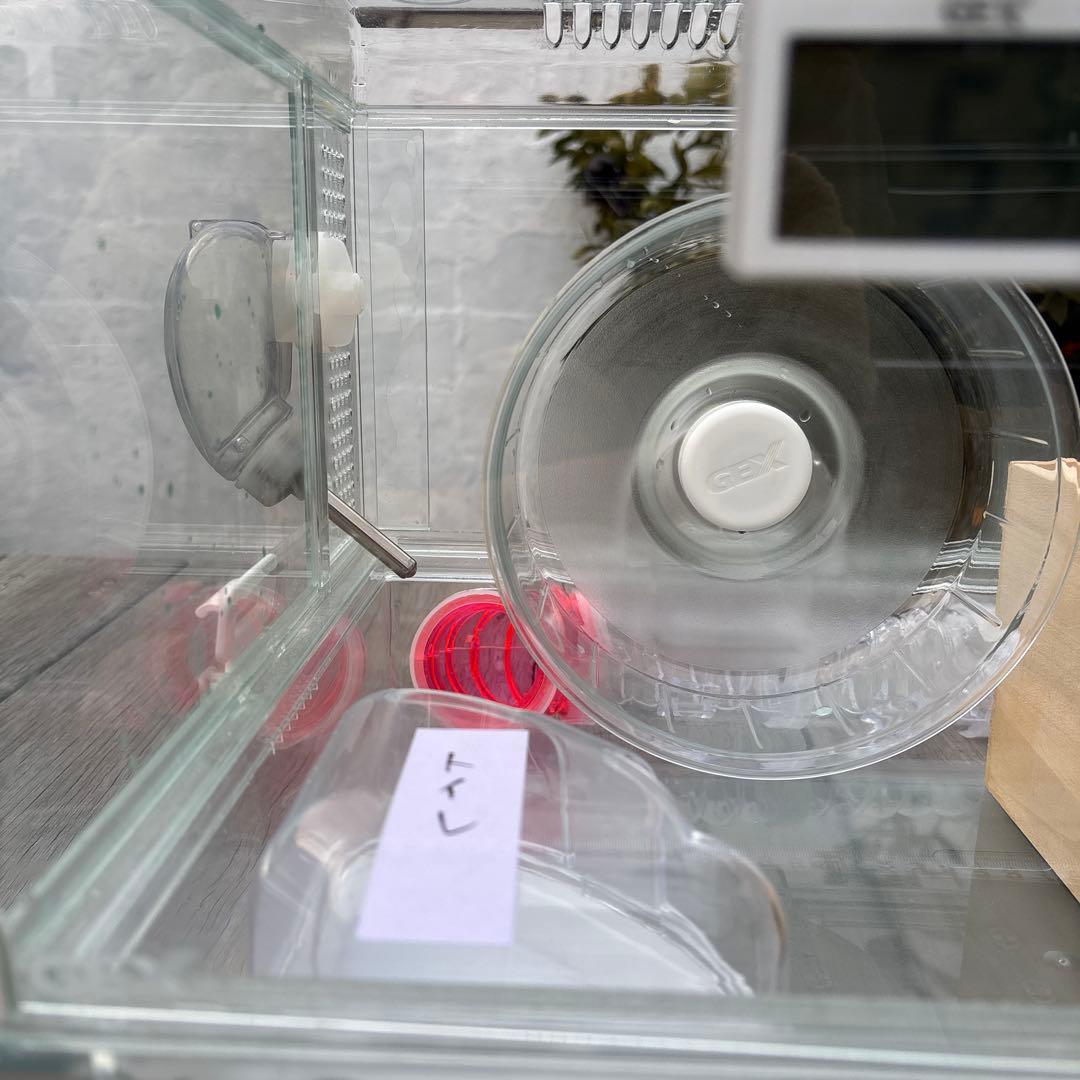 ハムスター　飼育セット　アクリル　小動物ケージ