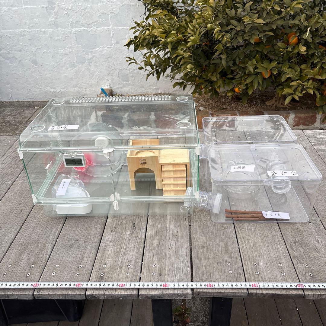 ハムスター　飼育セット　アクリル　小動物ケージ
