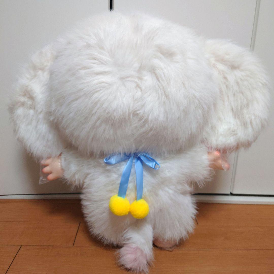 【まよっぴーです！】