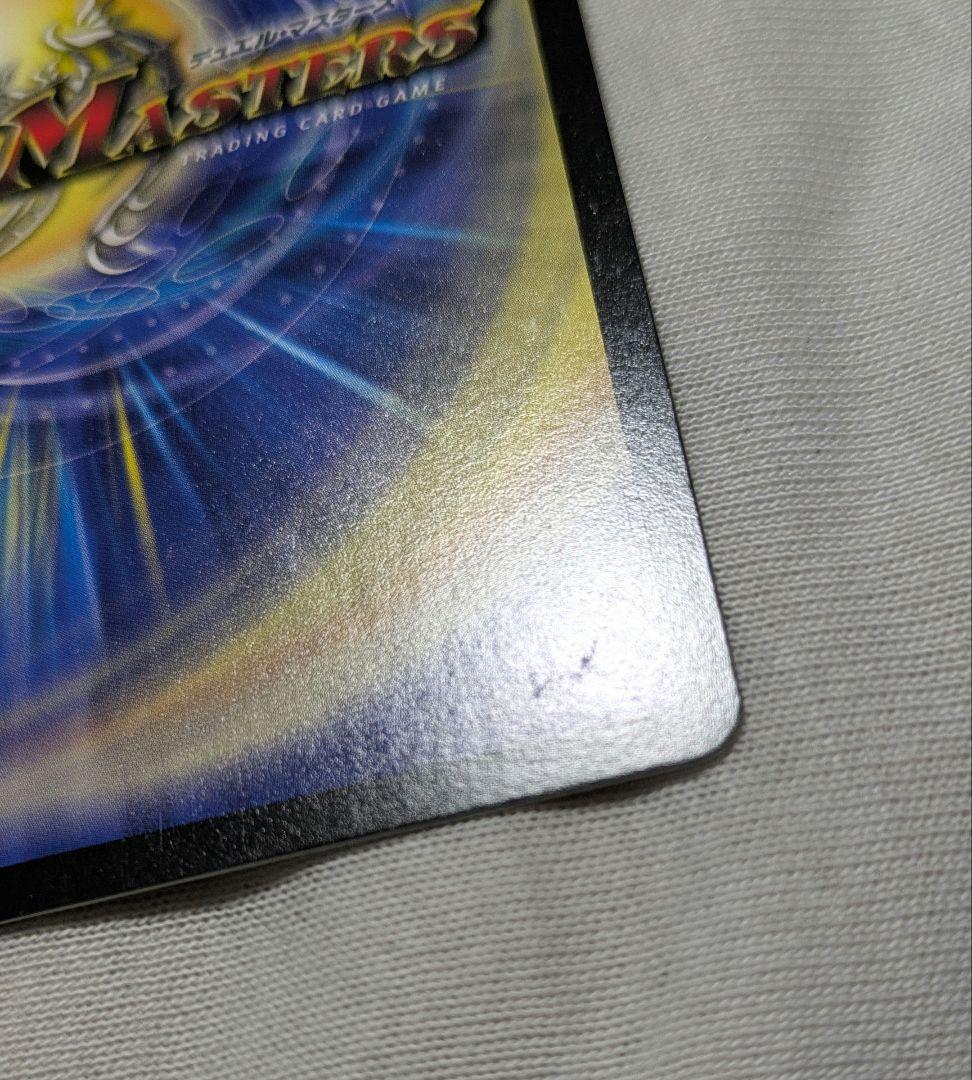 シャコガイル　b